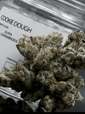 Cookie Dough Marijuana Strain