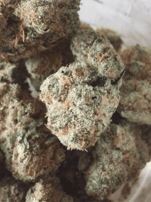 Pennywise Weed Strain Online