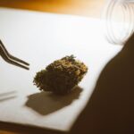 Cannabis bud held by tweezers on dark surface with glass jar in background, close-up macro shot