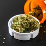 Medical marijuana buds spilling from an orange prescription pill bottle onto a white childproof cap on a dark surface.
