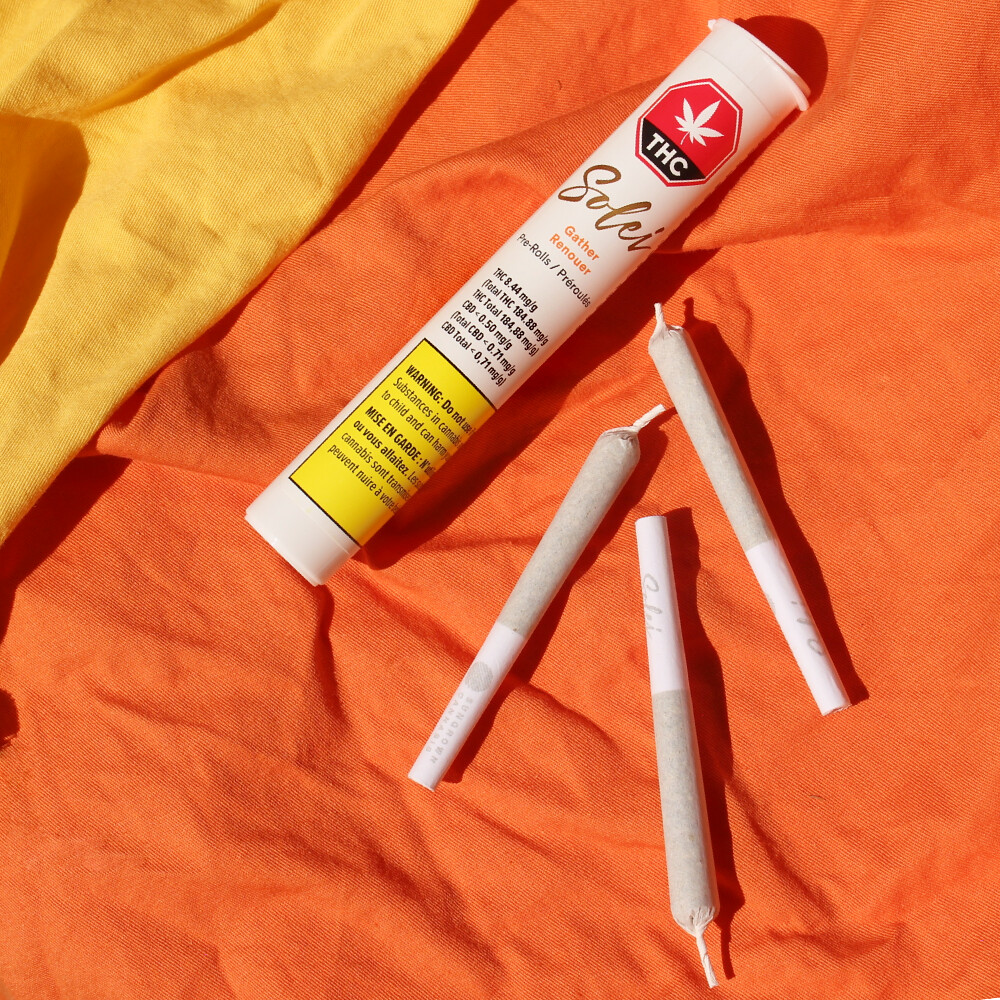 Pre-rolled cannabis joints next to a labelled THC tube